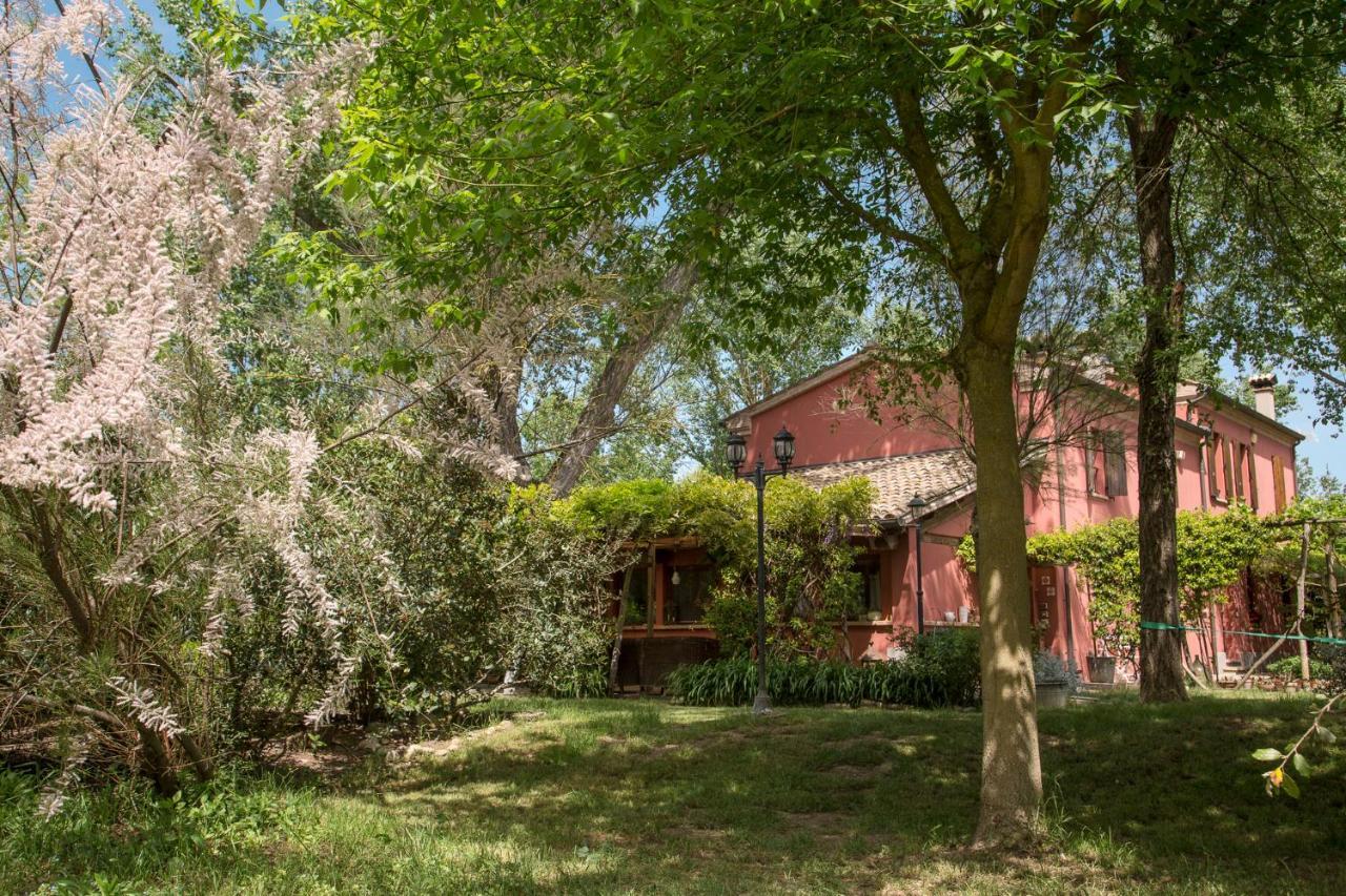 Ca' Barbona Bed and Breakfast Lido di Classe Eksteriør billede