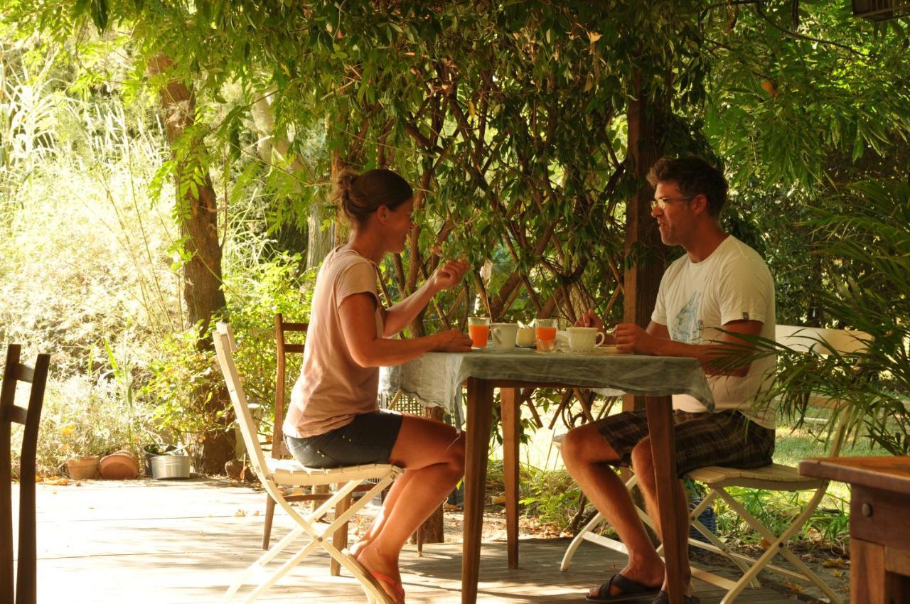 Ca' Barbona Bed and Breakfast Lido di Classe Eksteriør billede