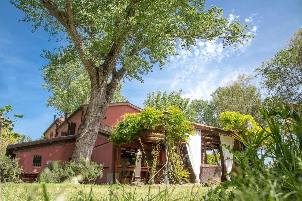 Ca' Barbona Bed and Breakfast Lido di Classe Eksteriør billede