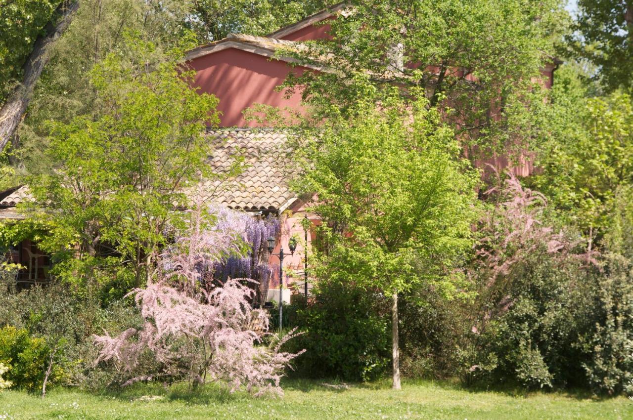 Ca' Barbona Bed and Breakfast Lido di Classe Eksteriør billede