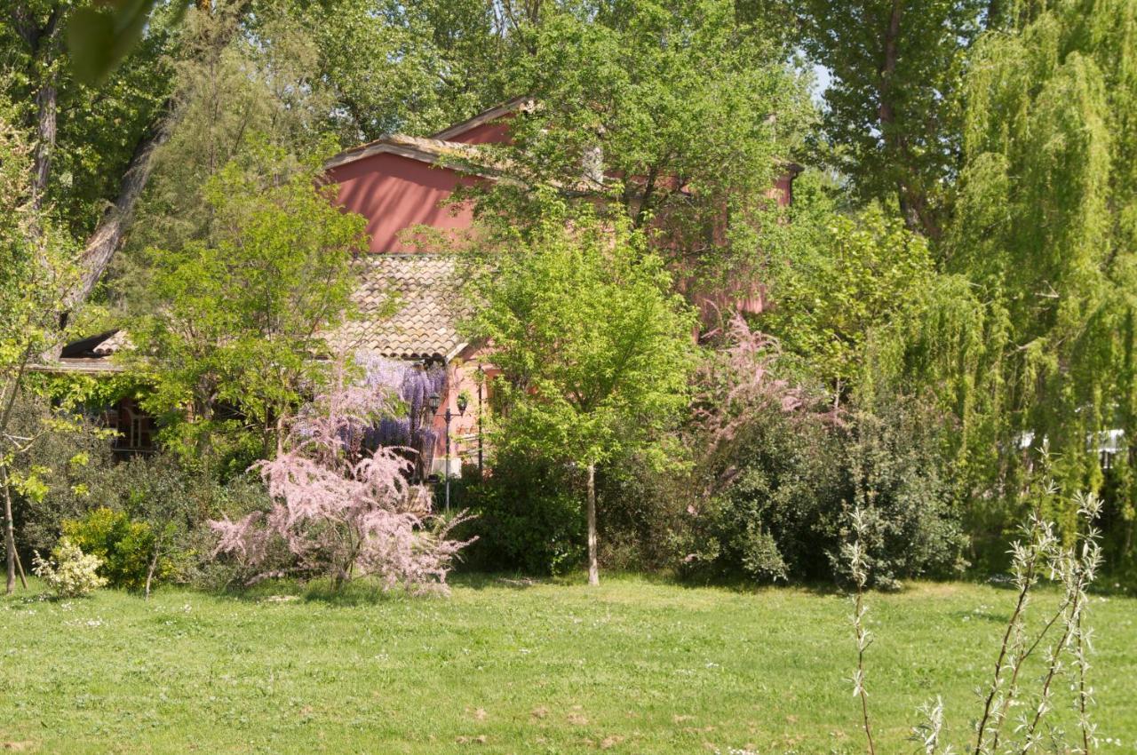 Ca' Barbona Bed and Breakfast Lido di Classe Eksteriør billede