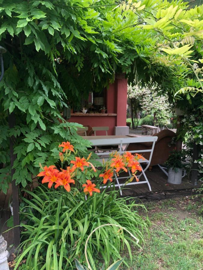 Ca' Barbona Bed and Breakfast Lido di Classe Eksteriør billede
